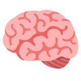 Cerebro - Noto Color Emoji