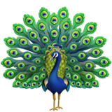 Pavo real