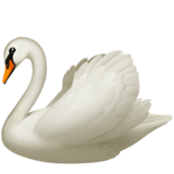Cisne
