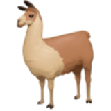 Llama - Facebook