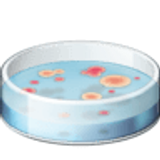 Placa de petri - Facebook