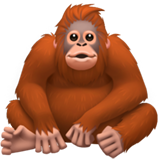Orangután