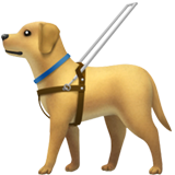Perro guía