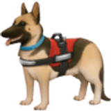 Perro de servicio - Facebook