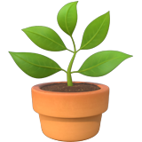 Emoji de planta en maceta