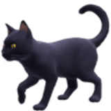 Gato negro - Facebook