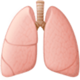 Pulmones - Facebook