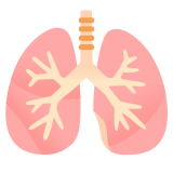 Pulmones - Noto Color Emoji