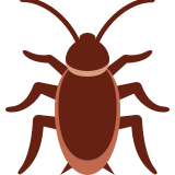 Cucaracha - Twitter / X