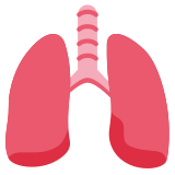 Pulmones - Twitter / X