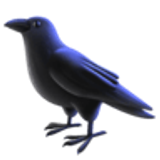 Pájaro negro - Facebook