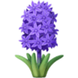 Campanilla - Facebook