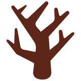 Árbol sin hojas - Twitter / X