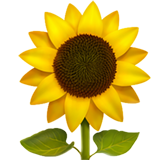Emoji girasol