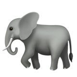 Elefante