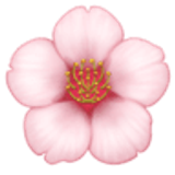 Flor de cerezo - Facebook