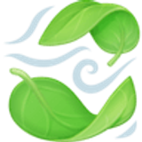 Hojas revoloteando al viento - Facebook