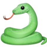 Serpiente - Facebook