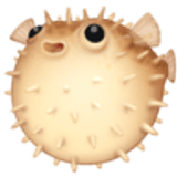 Pez globo - Facebook