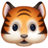 Cara de tigre - Facebook