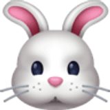 Cara de conejo - Facebook