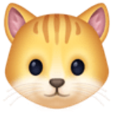 Cara de gato - Facebook