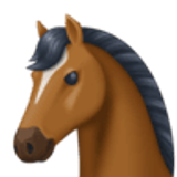 Cara de caballo - Facebook