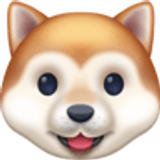 Cara de perro - Facebook