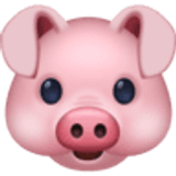 Cara de cerdo - Facebook