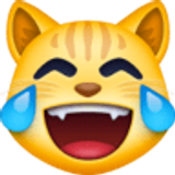 Gato llorando de risa - Facebook