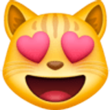 Gato sonriendo con ojos de corazón - Facebook