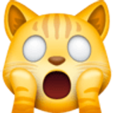 Gato asustado - Facebook