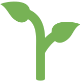 Planta joven - Twitter / X