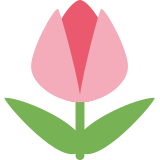 Tulipán - Twitter / X