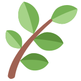 Hierba - Twitter / X