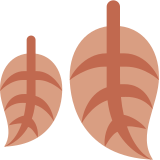 Hojas caídas - Twitter / X