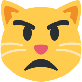 Gato enfadado - Twitter / X