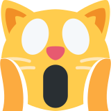 Gato asustado - Twitter / X