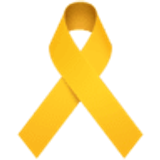 Lazo conmemorativo - Facebook