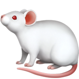 Ratón