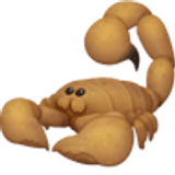 Escorpión - Facebook