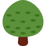 Árbol de hoja caduca - Twitter / X