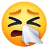 Cara estornudando - Facebook