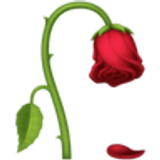 Flor marchita - Facebook