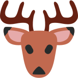 Ciervo - Twitter / X