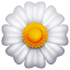 Emoji flor amarilla U+1F33C Emoji flor amarilla U+1F33C