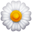 Yellow flower emoji U + 1F33C