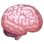 Cerebro WhatsApp U+1F9E0 Cerebro WhatsApp U+1F9E0