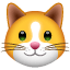 Cat face U + 1F431