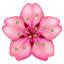 Emoji de una flor rosa U+1F338